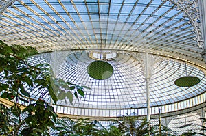 Structure of Ceiling in Kibble Palace