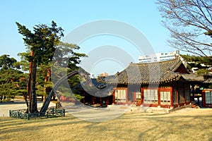 Structure In Changgyeonggung Palace