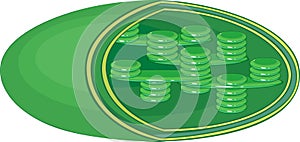 Structure of chloroplast