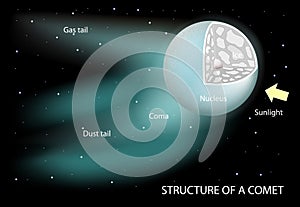 Structure of a comet