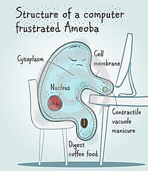 Structure of a computer frustrated Ameoba