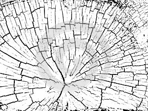 Structure of cracks of wood