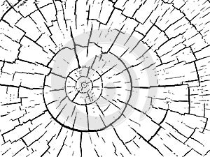 Structure of cracks of wood vector background