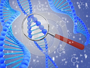 Structure of DNA under a magnifying glass. 3D render