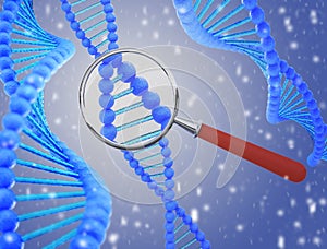 Structure of DNA under a magnifying glass. 3D render