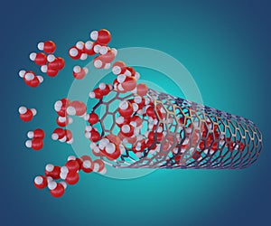 The structure and dynamics of H2O in a Carbon Nanotube