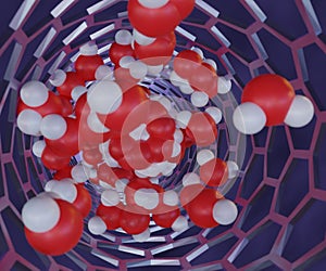 The structure and dynamics of H2O in a Carbon Nanotube