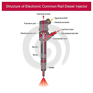 Structure of Electronic Common Rail Diesel Injector. Illustration e