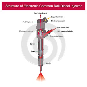 Structure of Electronic Common Rail Diesel Injector. Illustration e photo