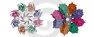 Structure of fragaceatoxin C (FraC) from the sea anemone Actinia fragacea