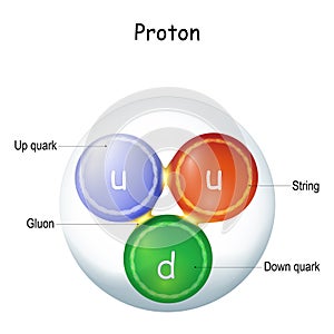 Structure of a gluon. elementary particle