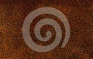 Structure of a golden leather