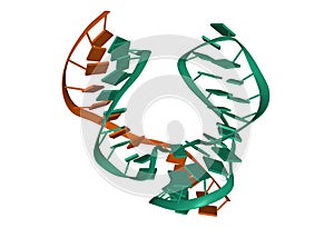 Structure of hammerhead ribozyme, 3D cartoon model isolated, white background