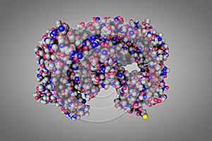 Structure of Herceptin Fab without antigen. Space-filling molecular model. 3d illustration