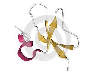 Structure of human beta-defensin-3