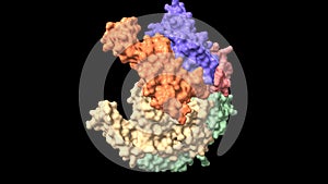 Structure of human GTP cyclohydrolase I