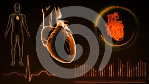 Structure of Human Heart while pumping