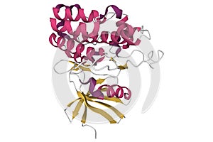 Structure of human tgf-beta receptor type 2 kinase domain