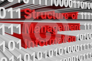 Structure of Management Information photo