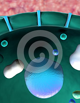 Structure of the molecule