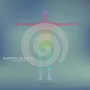 Structure molecule of man. Abstract model human body DNA . Medicine, science and technology. Scientific Vector for your