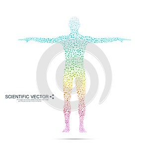 Structure molecule of man. Abstract model human body DNA . Medicine, science and technology. Scientific Vector for your