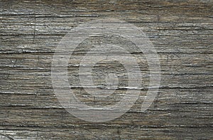 Structure of an old tree