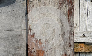 The structure of the old tree. The paint is climbing off the wall. Old paint. Old vintage door