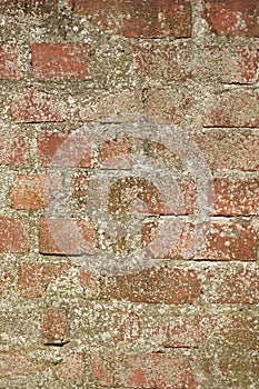 Structure - old weathered brick wall mossy - portrait