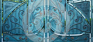 Structure and ornaments of forged iron gate