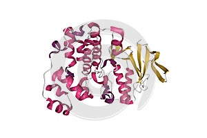 Structure of p38alpha mitogen-activated protein kinase