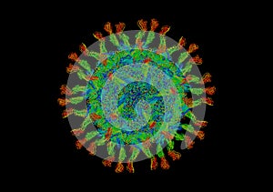 Structure of polio virus photo