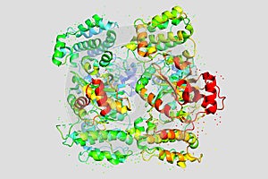 The structure of the protein molecule, tumor marker glioblastoma