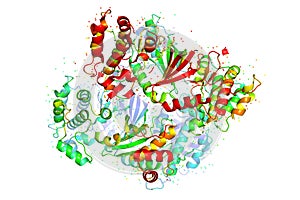 The structure of the protein molecule, tumor marker glioblastoma