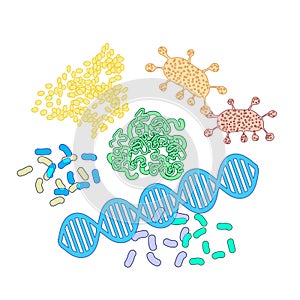 Structure of protein molecules