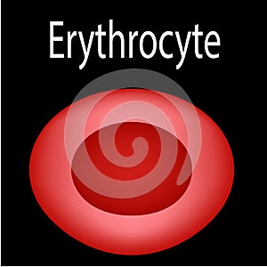 The structure of the red blood cell. Erythrocyte blood cell. The structure of the erythrocyte. Infographics. Vector