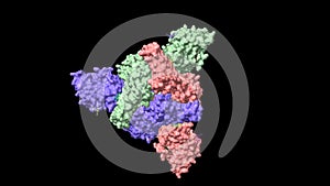 Structure of the SARS-CoV-2 spike glycoprotein homotrimer with carbohydrate residues shown