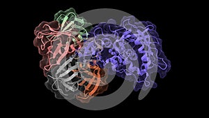 Structure of shiga toxin