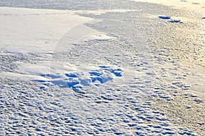 Structure of snow and ice on frozen lake. Winter landscape concept. Frozen river surface view in winter time