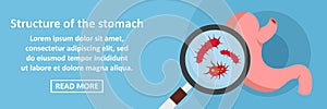 Structure of the stomach banner horizontal concept