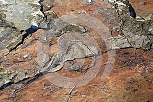 The structure of the stone from a beach in Cuba.