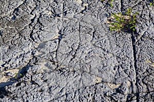 The structure of the stone from a beach in Cuba.