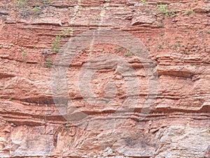 Structure of the surface of lime mine wall.  Multicolor fragments