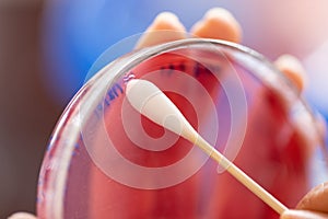 Study for Bacteria Staphylococcus aureus in the human nose.