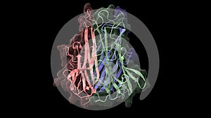 Structure of tumor necrosis factor alpha homotrimer