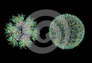 structure of virus