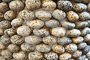 Structure of a wall created with stones