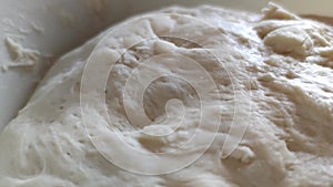 Structure of wheat white flour dough for bread close-up