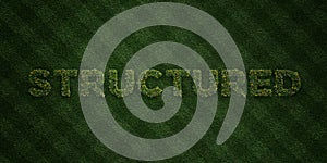 STRUCTURED - fresh Grass letters with flowers and dandelions - 3D rendered royalty free stock image