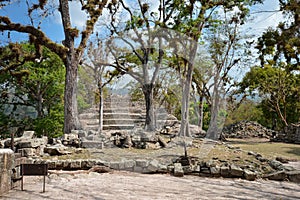 Structures of East court at Copan archaeological site of Maya civilization in Honduras